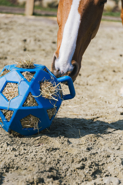 Piłka na siano dla konia Kentucky Horsewear Relax Horse Play & Hay Ball