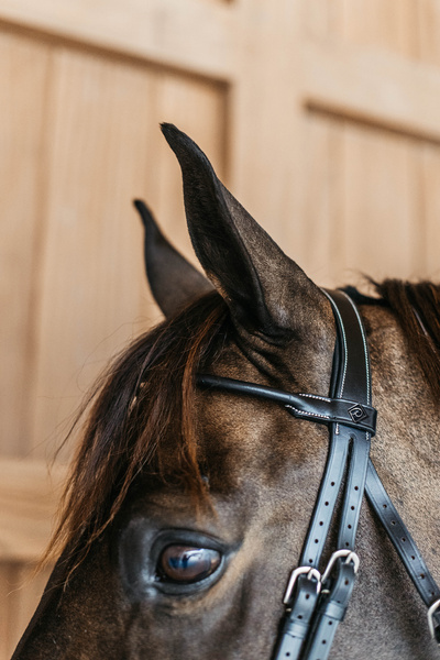 Ogłowie z nachrapnikiem kombinowanym Dy'on Working Collection Round WOARHY