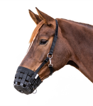 Kaganiec dla konia Waldhausen