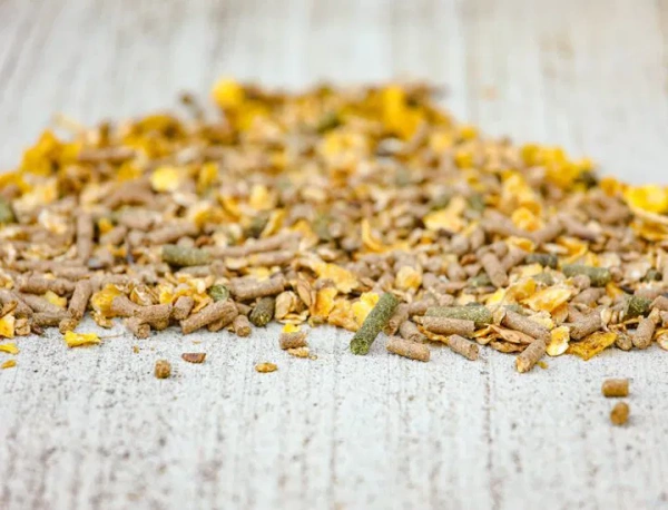 Pasza energetyczna dla koni sportowych Cavalor Action Mix 20kg