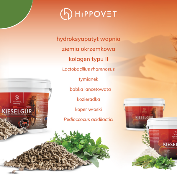 Krzem Mebio Kieselgur Forte  - GRANULAT 3 kg