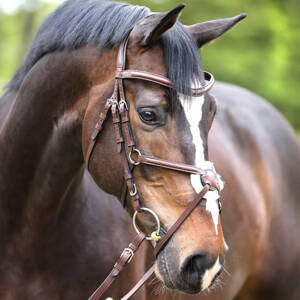 Ogłowie z nachrapnikiem meksykańskim Kavalkade Proline-Diego