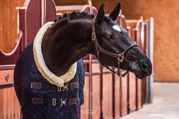 Derka stajenna Kentucky Horsewear Show Rug Logo 160g