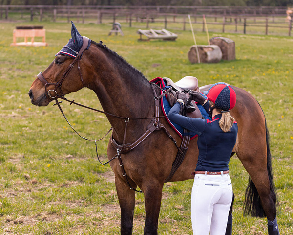 Napierśnik pięciopunktowy z wytokiem Premiere