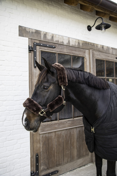 Zestaw futerek do kantara Kentucky Horsewear