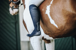 Podkolanówki jeździeckie z żelem ochronnym na ściegno Kentucky Horsewear Achilles Gel 