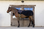 Derka treningowa Kentucky Horsewear Heavy Fleece