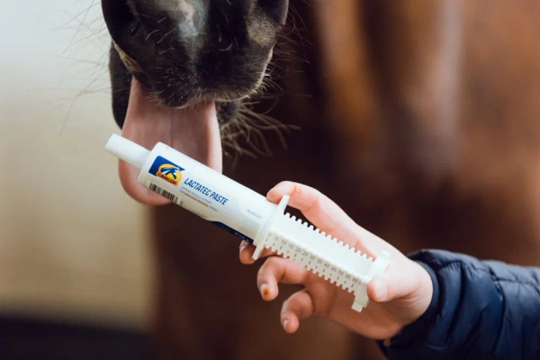 Pasta wspierająca aktywność mięśni Cavalor LactaTec Paste