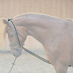 Czambon gumowy Kavalkade