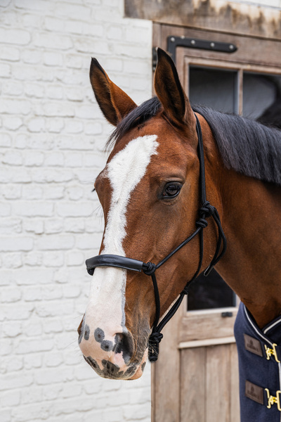 Kantar sznurkowy Grooming Deluxe