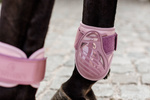 Ochraniacze tylne Kentucky Horsewear Young Horse TPU