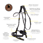 Ogłowie z nachrapnikiem kombinowanym Kavalkade Caliano