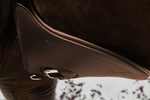 Popręg z fartuchem Kentucky Horsewear Anatomic