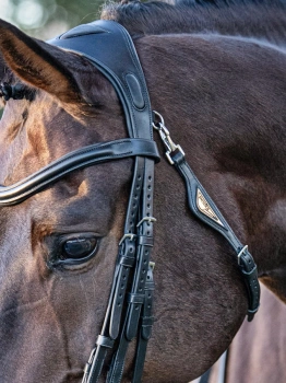 Część potyliczna z podwójnymi paskami do wędzidła Equiline