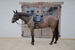 Czaprak ujeżdżeniowy Kentucky Horsewear Softshell Onion Quilt