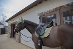 Czaprak ujeżdżeniowy Kentucky Horsewear Softshell Onion Quilt