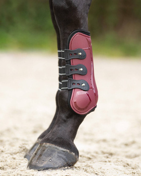 Ochraniacze przednie QHP Champion