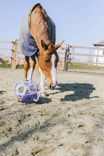 Piłka na siano dla konia Kentucky Horsewear Relax Horse Play & Hay Ball