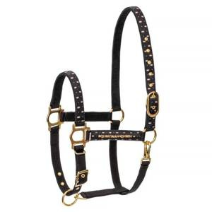 Kantar EQ.QUEEN Naples