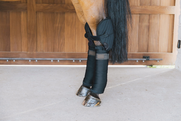 Podkładki pod owijki z ochroną stawu skokowego Kentucky Horsewear Transport Stable Bandage Pad with Hock Protection