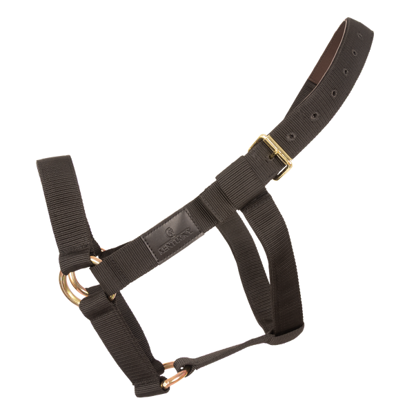 Kantar dla konia Kentucky Horsewear Heavy Duty