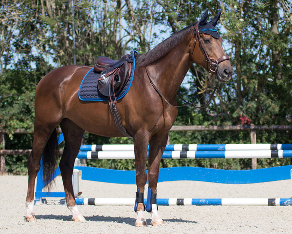 Nauszniki QHP Florence