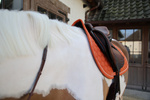 Czaprak wszechstronny Kentucky Horsewear Melange