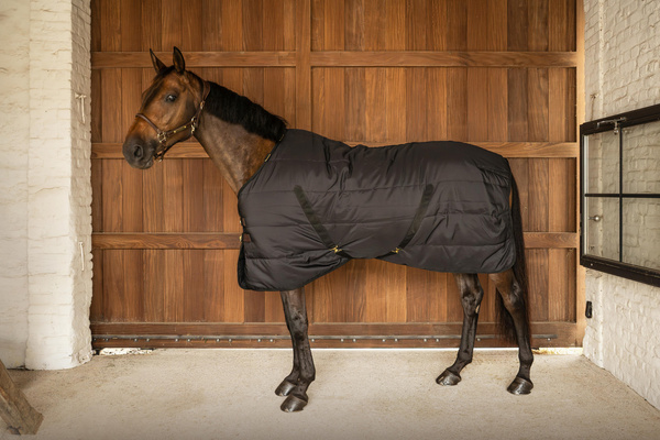 Derka stajenna z kapturem Kentucky Horsewear Classic 200g