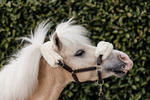Kantar dla kucyka Kentucky Horsewear Leather Sheepskin