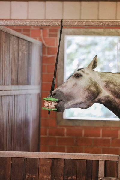 Przysmak dla konia Delizia Sandwich