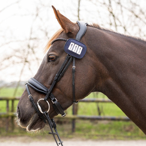 Numerek startowy QHP Shine