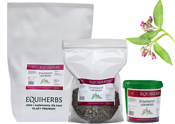Żywokost lekarski EQUIHERBS
