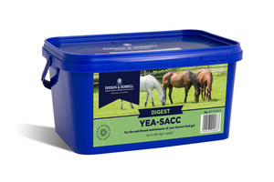 Suplement wspomagający układ pokarmowy Dodson & Horrell Yea -Sacc 2kg