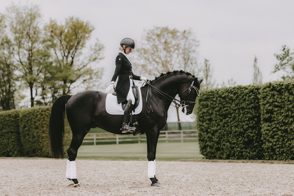 Owijki polarowe Kentucky Horsewear Pearls