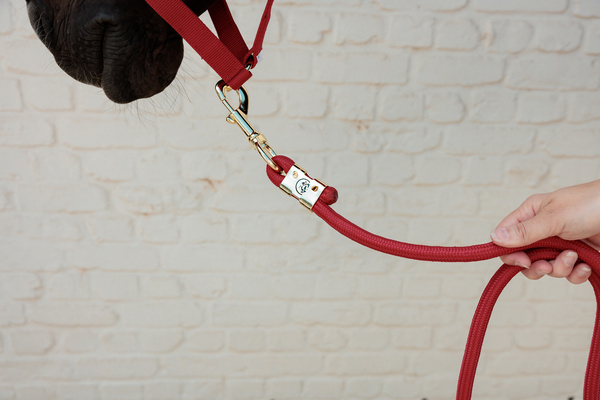 Uwiąz Kentucky Horsewear Lead Rope Basic
