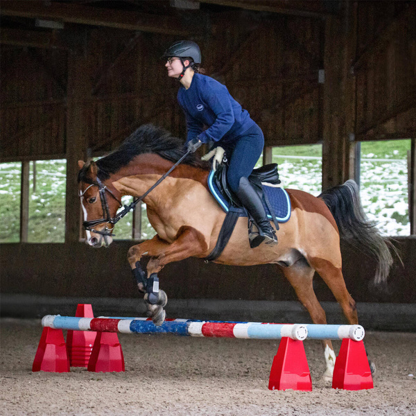 Stojak do przeszkód York Pylonetti