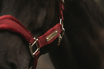 Kantar dla konia Kentucky Horsewear Velvet