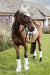 Ochraniacze z futrem Kentucky Horsewear Turnout Boots Air