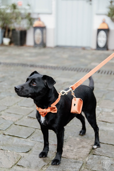 Smycz dla psa Kentucky Dogwear Velvet - 120 cm