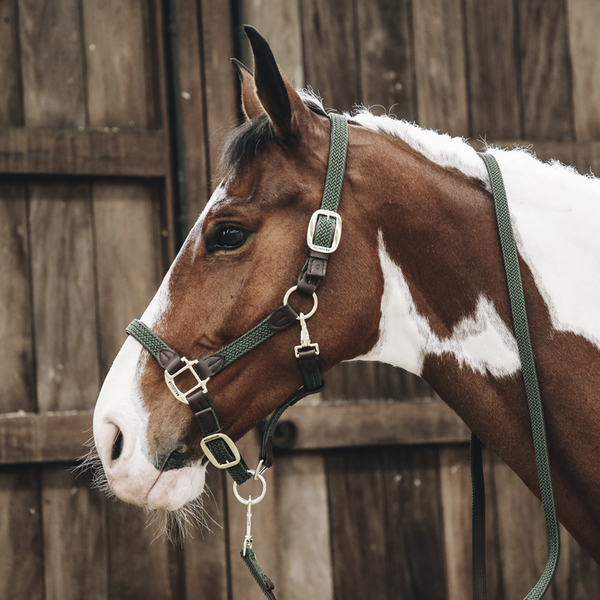 Kantar dla konia Kentucky Horsewear Plaited Nylon