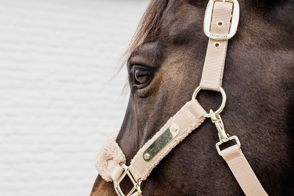 Kantar dla konia Kentucky Horsewear Teddy Fleece