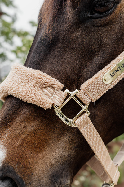 Kantar dla konia Kentucky Horsewear Teddy Fleece
