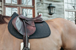Czaprak wszechstronny Kentucky Horsewear Classic