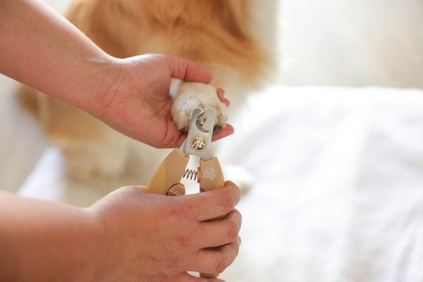 Cążki do pazurów dla psów Magic Brush