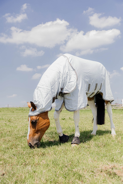 Derka siatkowa przeciw owadom z kapturem dla koni z egzemą Kentucky Horsewear Eczema Rug