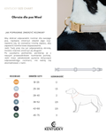 Obroża dla psa Kentucky Dogwear Wool