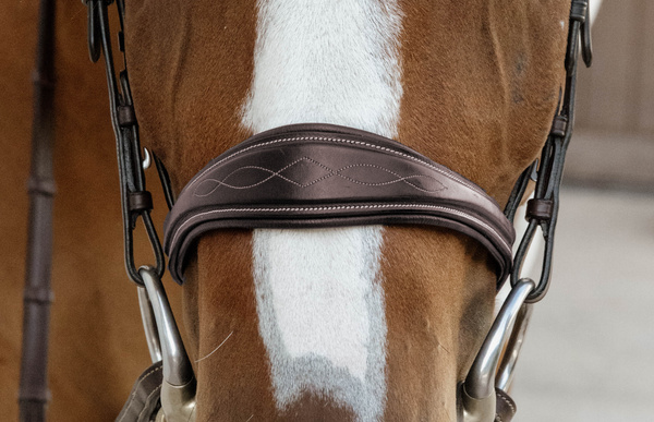 Nachrapnik anatomiczny Dy'on D Collection DY041