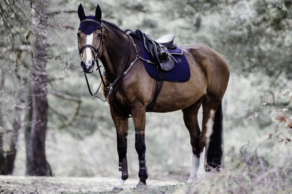 Czaprak wszechstronny Kentucky Horsewear Fishbone