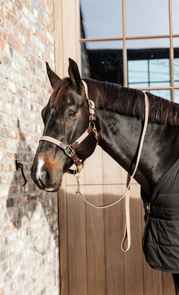 Uwiąz Kentucky Horsewear Plaited Nylon