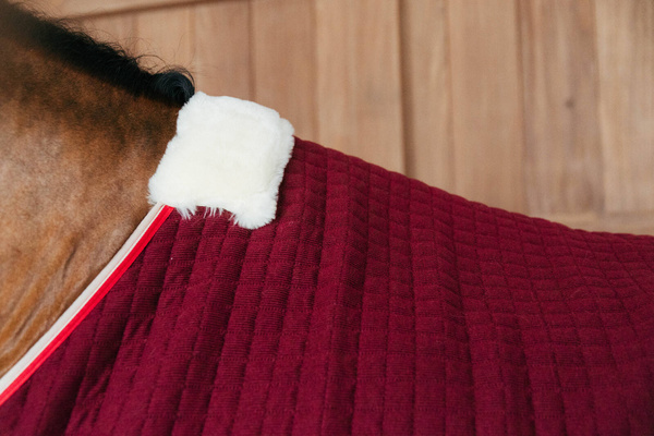 Derka osuszająca Kentucky Horsewear PROtherm